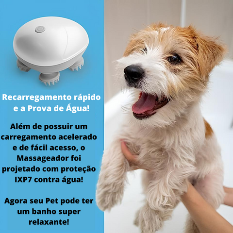 Massageador CatCare - Massageador Vibracional para Pet