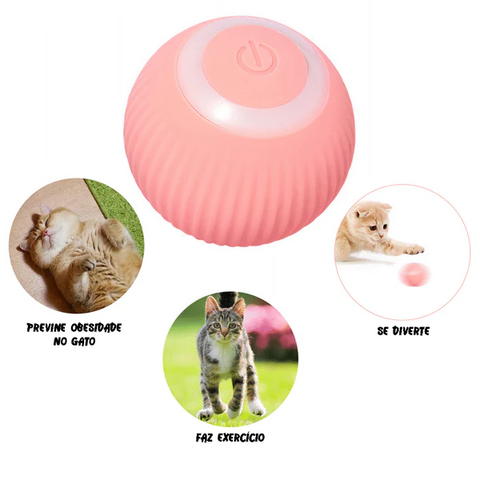 Brinquedos para Gatos Bolinha Interativa Inteligente